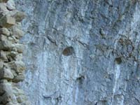 010 chemin de capluc 05