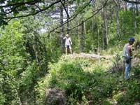 140 Topo Chateau de Contrast 05