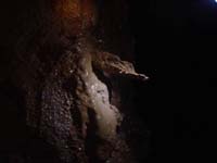 200 Grotte du Calel Paques 05