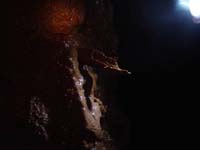 202 Grotte du Calel Paques 05