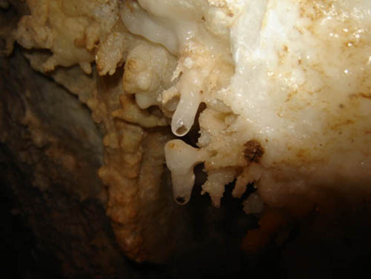 016 grotte de Montagagne 06