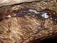 023 Mine Antique du Goutil 06