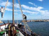 16292 vers l'ile aux flamands