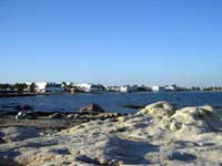 16459 littoral