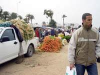 16574 marche oum souk