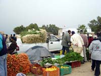 16577 marche oum souk