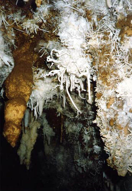 21 Malaval 