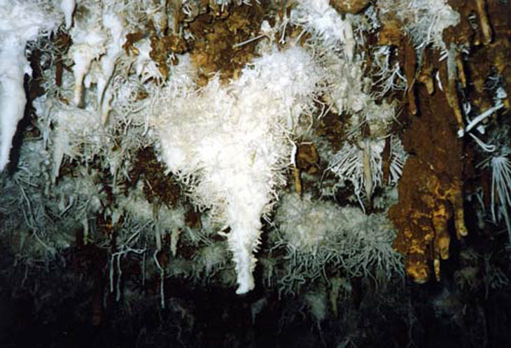 25 Malaval 