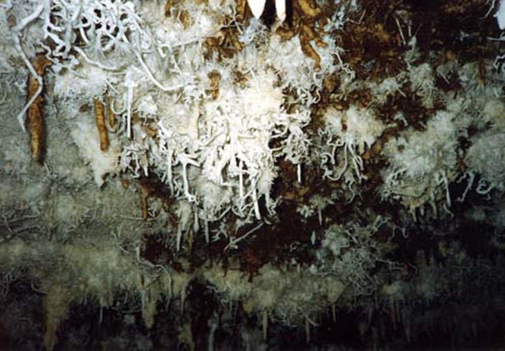 31 Malaval 