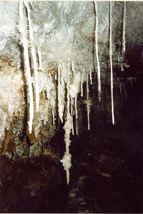 47 Malaval 
